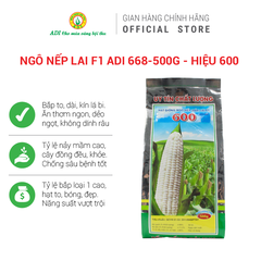 Hạt giống ngô nếp lai F1 ADI 668 - Hiệu 600