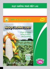 Ngô nếp đường Ngọc Long 2301