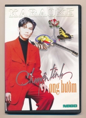 DVD NDBD Karaoke - Chuyện Tình Ong Bướm