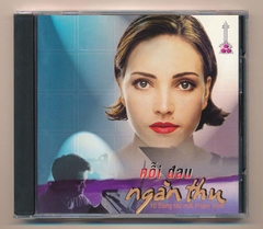 Nhạc Vàng CD - Nỗi Đau Ngàn Thu