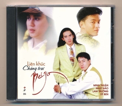 Mưa Hồng CD255 - Liên Khúc Chàng Trai Beijin (Minh Thuận - Nhật Hào - Lam Trường - Sỹ Ben) (DADR)