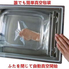 Máy Hút Chân Không Nhật Bản Ishijima Shoji SK-400H