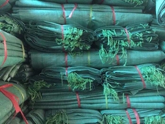 Bao tải dứa xanh loại 50kg