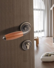 MOD44-- Khóa Đồng