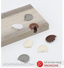 TD63 - Nắp bịt chốt rafix