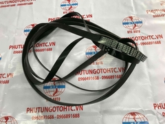 Dây Curoa tổng xe Mercedes - Benz A0039935596 6PK2519