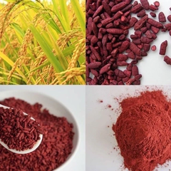 Bột Gạo Men Đỏ 100G - Bột Hồng Cúc 100G