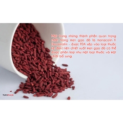 Bột Gạo Men Đỏ 100G - Bột Hồng Cúc 100G