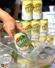 Nước mơ/quýt lên men CHOYA Umeshu Soda 350ml - Yowanai Ume Soda