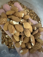 Hạnh Nhân Vỏ Lụa Nguyên Hạt Loại 2