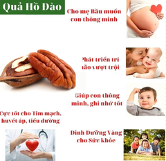 Nhân Hạt Hồ Đào Mỹ - Pecans Nuts