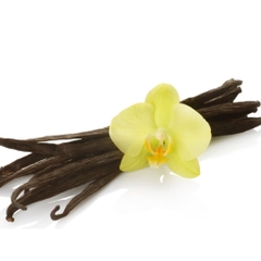 Hương Vani Best Odour 30ml