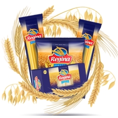 Mỳ nui ống/nơ/xoắn/sò Penne Regina 400g