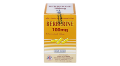 Berberine 100mg Mekophar