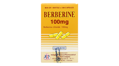 Berberine 100mg Mekophar