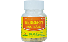 Berberin Mộc Hương Hadiphar Hộp 100 viên