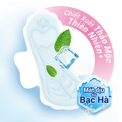 Băng vệ sinh Molped Mát lạnh Icy Cool siêu mỏng cánh