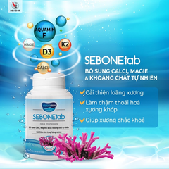 SEBONEtab H/60v