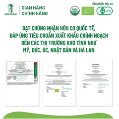 Sokfarm mật hoa dừa cô đặc cho bé Organic