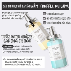 Dầu xả phục hồi đa tầng nấm truffle Weilaiya White Truffle Hair Nourishing Conditioner 450ml