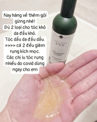 Bộ Dầu Gội Xả Chiết Xuất Gừng Weilaiya 450ml + 250ml (Phù hợp Tóc dầu, bết)