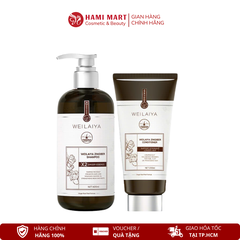 Bộ Dầu Gội Xả Gừng Hỗ Trợ Mọc Tóc Chống Lão Hóa Da Đầu 420ml + 200ml