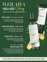 Bộ Dầu Gội Xả Chiết Xuất Gừng Weilaiya 450ml + 250ml (Phù hợp Tóc dầu, bết)