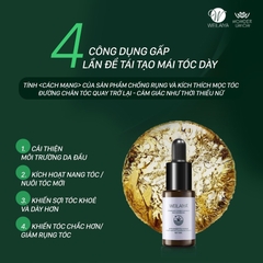 [Combo 3 Hộp] Huyết Thanh Mọc Tóc Weilaiya With Ginger Hair Root Nourishing Essence