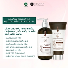 [Hộp Nâu] Sét Quà Gội Xả Gừng Luxury Nâu Chống Lão Hóa X2 Mọc Tóc
