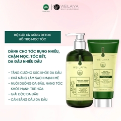 [Hộp Trắng] Sét Quà Gội Xả Gừng Luxury Xanh Detox Da Đầu X2 Mọc Tóc
