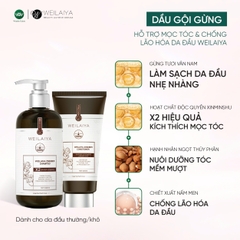 [Hộp Nâu] Sét Quà Gội Xả Gừng Luxury Nâu Chống Lão Hóa X2 Mọc Tóc
