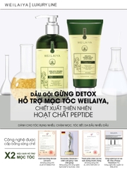 Bộ Dầu Gội Xả Gừng Hỗ Trợ Mọc Tóc Detox Da Đầu 420ml + 200ml - Tặng Kem Massage Da Đầu