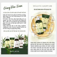 Bộ Dầu Gội Xả Gừng Hỗ Trợ Mọc Tóc Detox Da Đầu 420ml + 200ml - Tặng Kem Massage Da Đầu