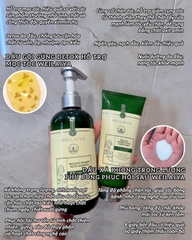 Bộ Dầu Gội Xả Gừng Hỗ Trợ Mọc Tóc Detox Da Đầu 420ml + 200ml - Tặng Kem Massage Da Đầu