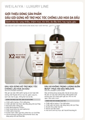 Bộ Dầu Gội Xả Gừng Hỗ Trợ Mọc Tóc Chống Lão Hóa Da Đầu 420ml + 200ml