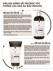 Bộ Dầu Gội Xả Gừng Hỗ Trợ Mọc Tóc Chống Lão Hóa Da Đầu 420ml + 200ml