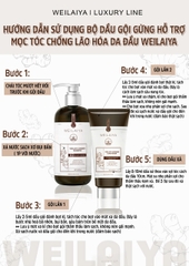 Bộ Dầu Gội Xả Gừng Hỗ Trợ Mọc Tóc Chống Lão Hóa Da Đầu 420ml + 200ml