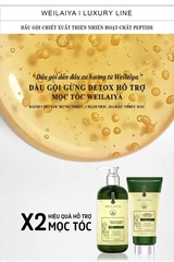 Bộ Dầu Gội Xả Gừng Hỗ Trợ Mọc Tóc Detox Da Đầu 420ml + 200ml