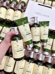 Bộ Dầu Gội Xả Gừng Hỗ Trợ Mọc Tóc Detox Da Đầu 420ml + 200ml