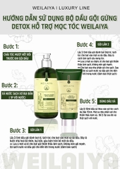 Bộ Dầu Gội Xả Gừng Hỗ Trợ Mọc Tóc Detox Da Đầu 420ml + 200ml
