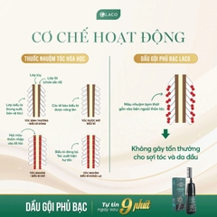 Dầu Gội Phủ Bạc LACO Black Hair 200ml