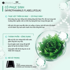 Combo 2 Hộp Mặt Nạ Cấp Ẩm Trắng Da Cỏ Vạn Năm - Hồng Vạn Cánh Weilaiya