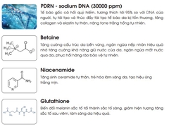 Serum Phục Hồi Da Kyung Lab PDRN Therapy Ampoule 50ml