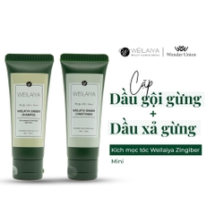 Set Mini Dầu Gội Xả Gừng, Gừng Hà Thủ Ô (20ml*2)