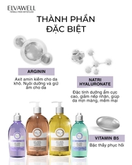[Vàng] Sữa Tắm Nước Hoa Gel Thạch ELVAWELL - Honey Sugar 500ml