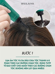 Kem Massage Thải Độc Detox Da Đầu Chiết Xuất Muối Biển Weilaiya 100g