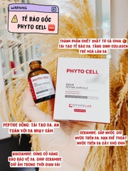 Tinh Chất Tế Bào Gốc Tái Tạo Trẻ Hóa Da Phyto Cell Peptide Ampoule Kyunglab 20ML