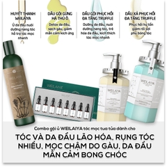 Trọn Bộ Chăm Tóc Tóc Weilaiya Dành Cho Da Đầu Khô, Mẫn Cảm, Rụng nhiều, Da đầu lão hóa - Combo Hoàn Hảo