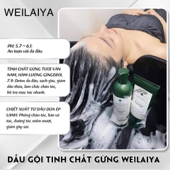 Bộ Dầu Gội - Xả Gừng Weilaiya (Tóc Dầu, Bết) + Tặng mini gội xả