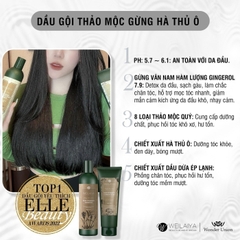 Bộ Gội Xả Gừng HTO Weilaiya (400ml + 250ml) + Tặng set mini